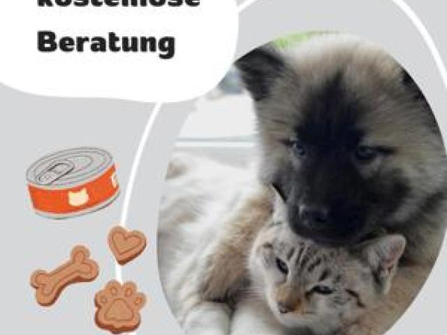 kostenlose Beratung zum Futter bei Hunden und Katzen - 1