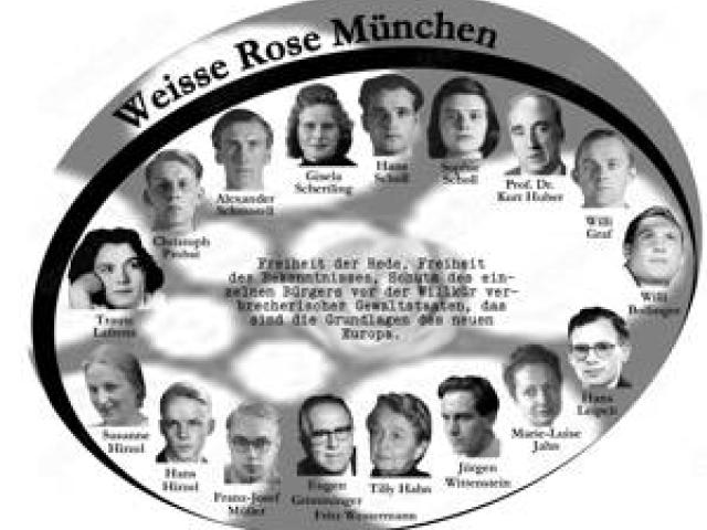 Weisse Rose - Dauerausstellung, weltweit einzigartig und einmalig (Schenkung, kostenlos erhältlich) - 1